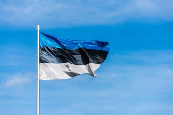 Эстония запретила вывоз в РФ товаров, отнесенных к предметам роскоши